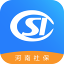 河南社保养老认证app