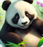 熊猫爱旅行向导app官方版