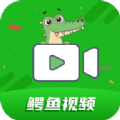 鳄鱼视频app官方版