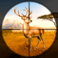 狩猎野生动物游戏安卓版