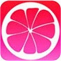 蜜柚app免费版